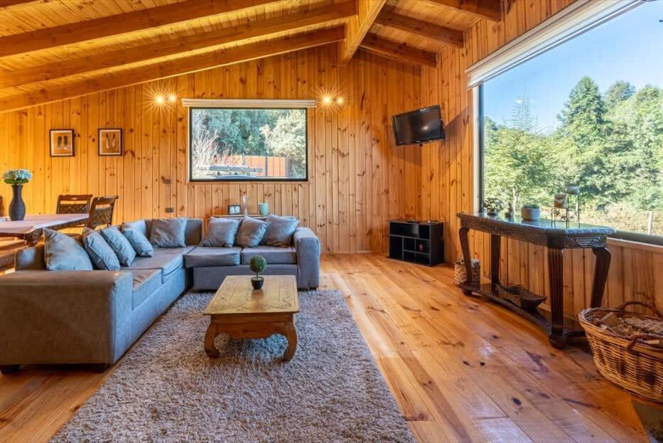 2br With Fireplace And Terrace Villarrica